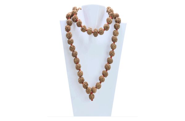 7 Mukhi Nepali Kantha - Certificate: DCL/2026/B/0003 - Mala Image