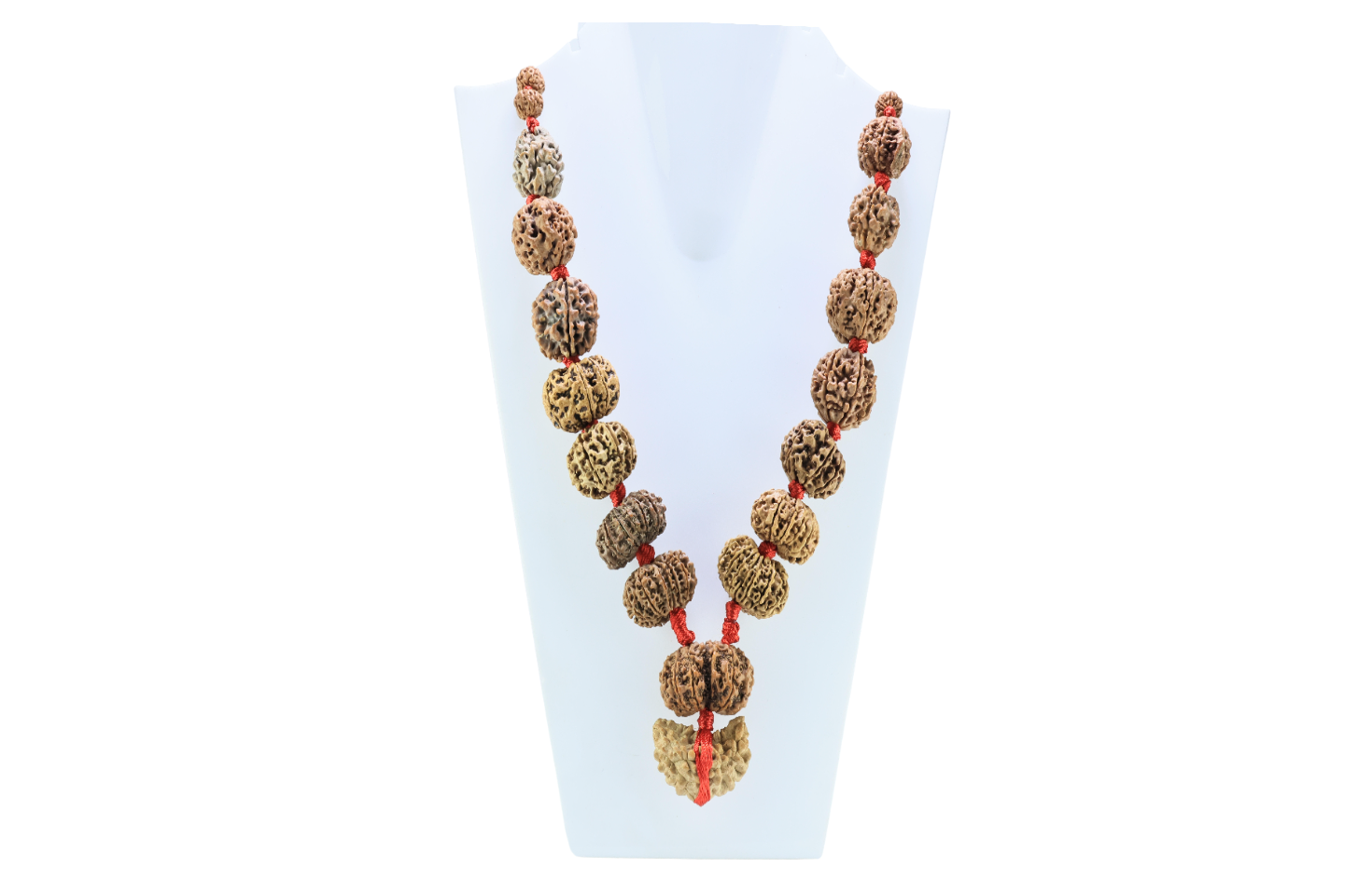 1 to 14 Mukhi Rudraksha Mala ( Siddha Mala ) - Certificate: DCL/2026/B/0012 - Mala Image