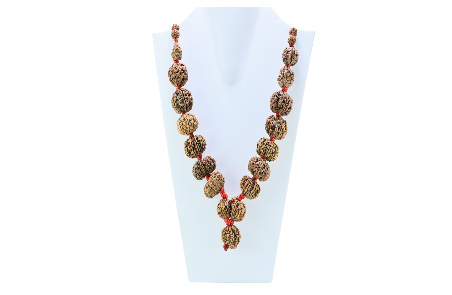 1 to 14 Mukhi Rudraksha Mala ( Siddha Mala ) - Certificate: DCL/2026/B/0014 - Mala Image