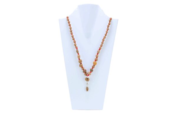 1 to 14 Mukhi Rudraksha Mala ( Siddha Mala ) - Certificate: DCL/2026/B/0023 - Mala Image