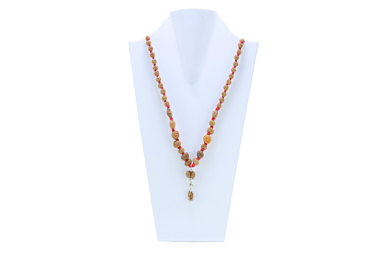 1 to 14 Mukhi Rudraksha Mala ( Siddha Mala ) - Certificate: DCL/2026/B/0023 - Mala Image