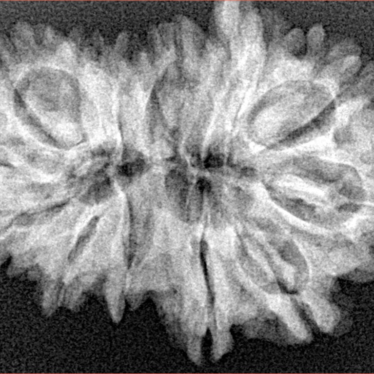 14 Mk Gaurishankar & Ganesh 31mm 4.77gm - Xray