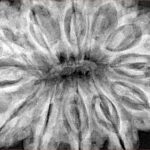 12 Mukhi Ganesh 37.9mm 10.17gm - Xray