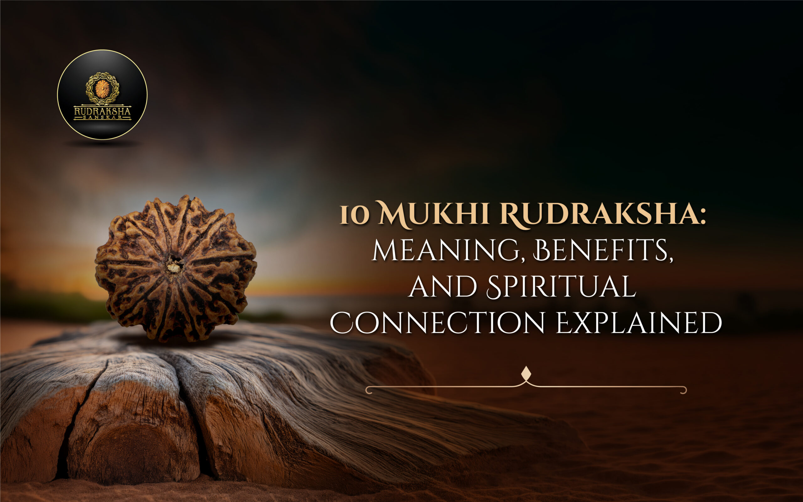 10 Mukhi Rudraksha Meaning, Benefits, and Spiritual Connection Explained - Rudraksha Sanskar