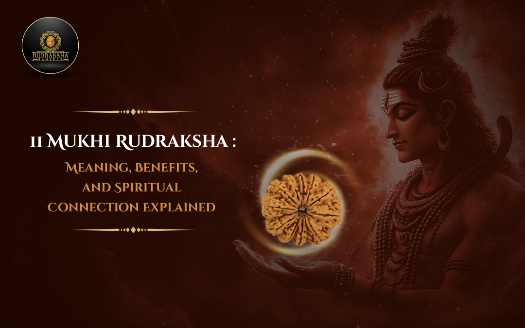 11 Mukhi Rudraksha Meaning, Benefits, and Spiritual Connection Explained - Rudraksha Sanskar