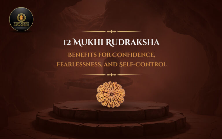 12 Mukhi Rudraksha Benefits for Confidence, Leadership, and Self-Worth 