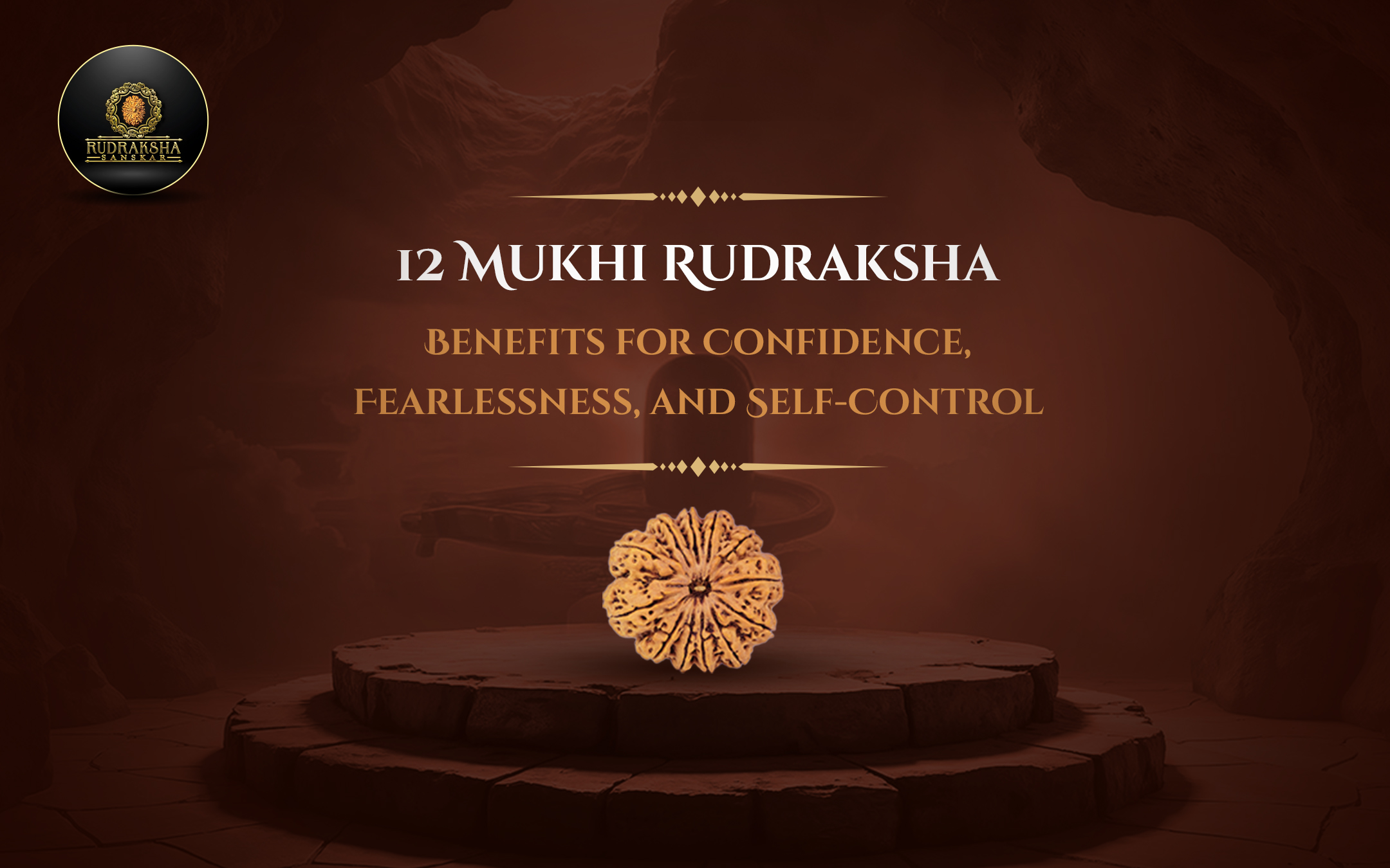 12 Mukhi Rudraksha Benefits for Confidence, Leadership, and Self-Worth - Rudraksha Sanskar