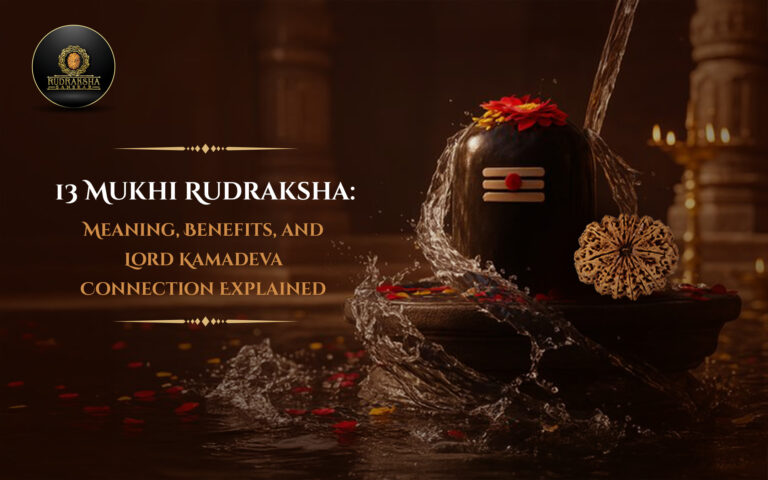 13 Mukhi Rudraksha: Meaning, Benefits, and Lord Kamadeva Connection Explained 