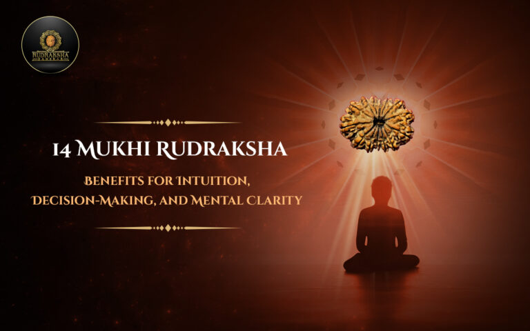 14 Mukhi Rudraksha Benefits for Intuition, Decision-Making, and Mental Clarity 