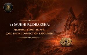 14 Mukhi Rudraksha Meaning, Benefits, and Lord Shiva Connection Explained - Rudraksha Sanskar