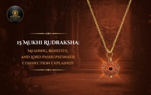 15 Mukhi Rudraksha Meaning, Benefits, and Lord Pashupatinath Connection Explained - Rudraksha Sanskar