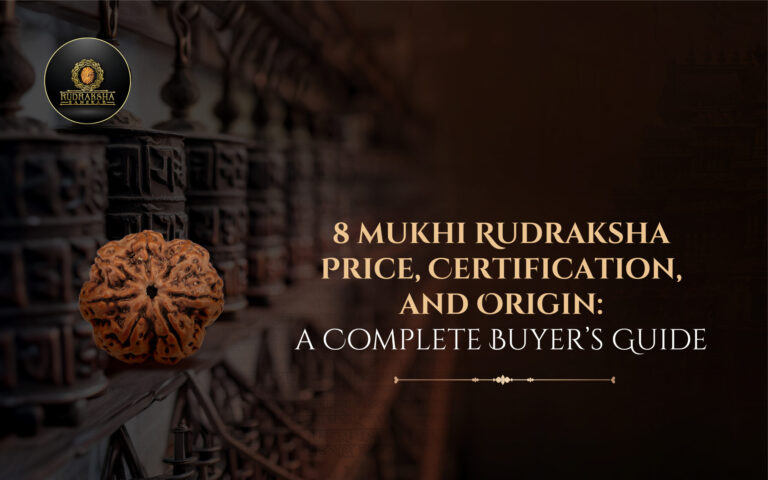 8 Mukhi Rudraksha Price, Certification, and Origin: A Complete Buyer’s Guide 