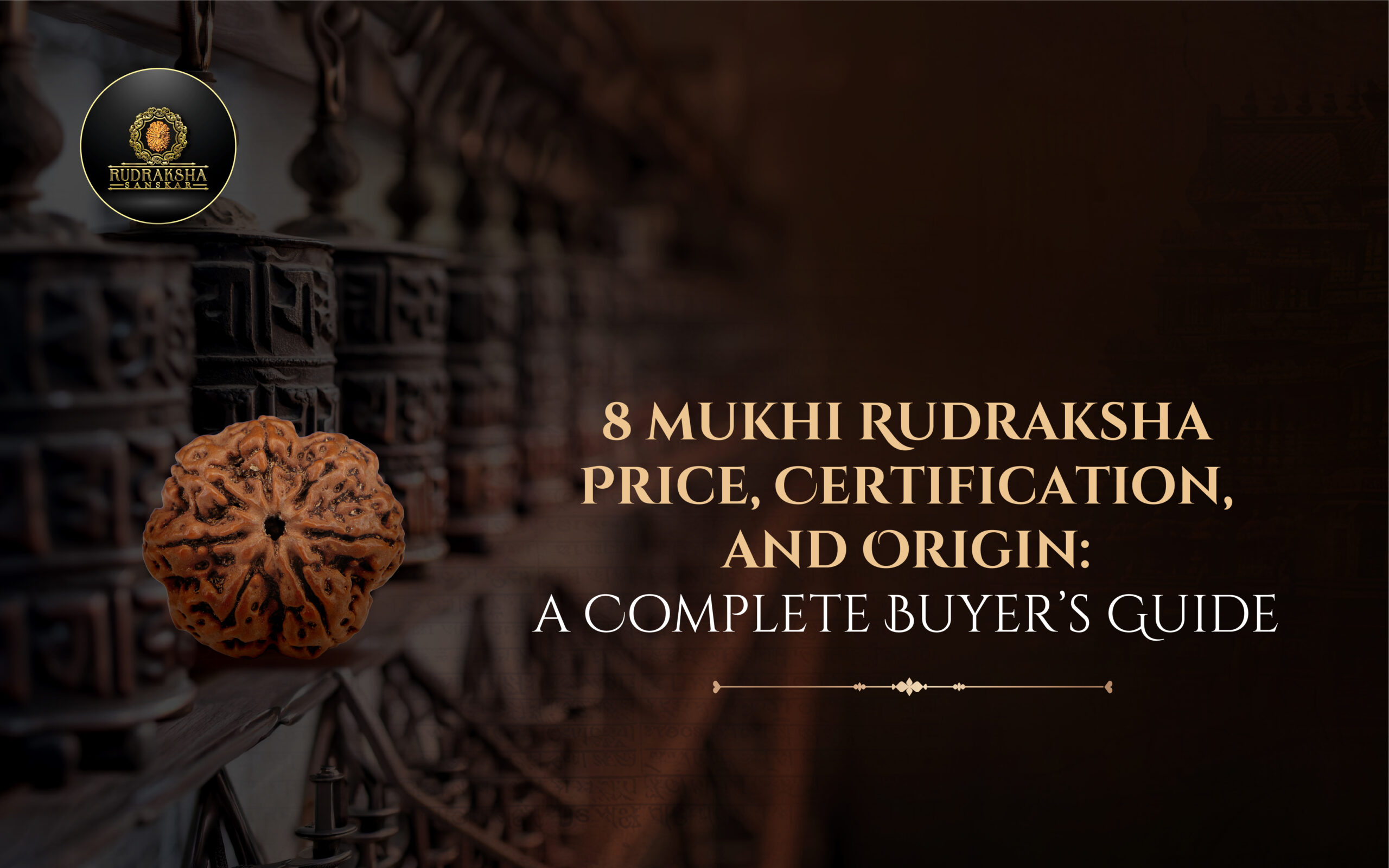 8 Mukhi Rudraksha Price, Certification, and Origin A Complete Buyer’s Guide - Rudraksha Sanskar