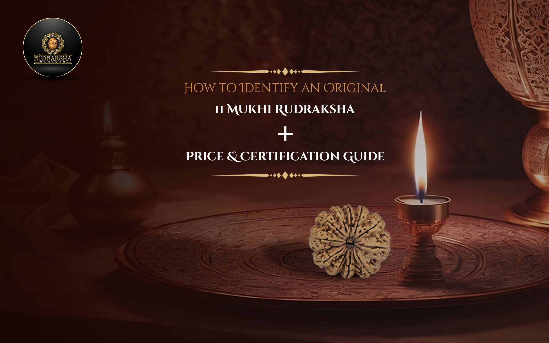 How to Identify an Original 11 Mukhi Rudraksha + Price & Certification Guide - Rudraksha Sanskar