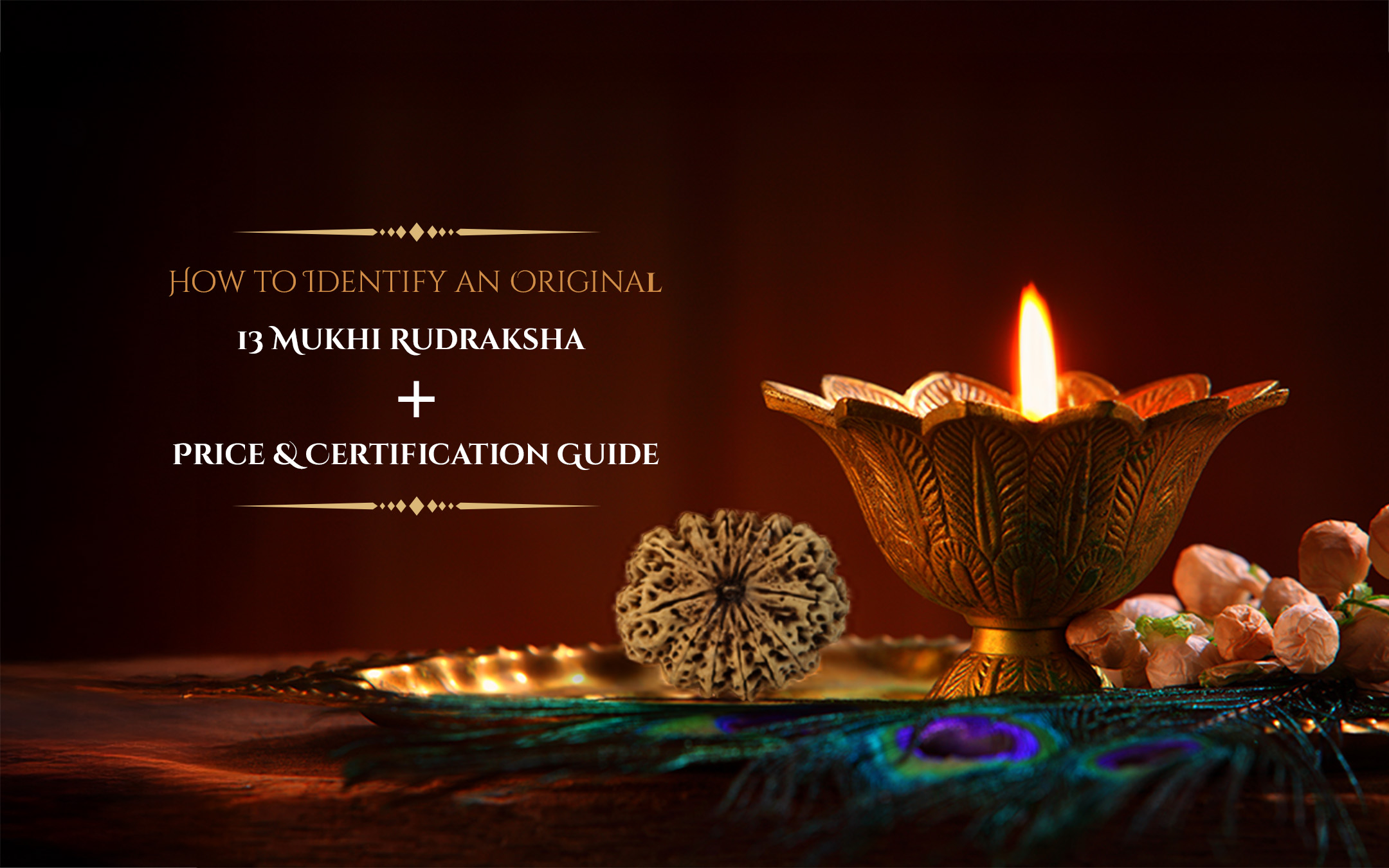 How to Identify an Original 13 Mukhi Rudraksha + Price & Certification Guide - Rudraksha Sanskar