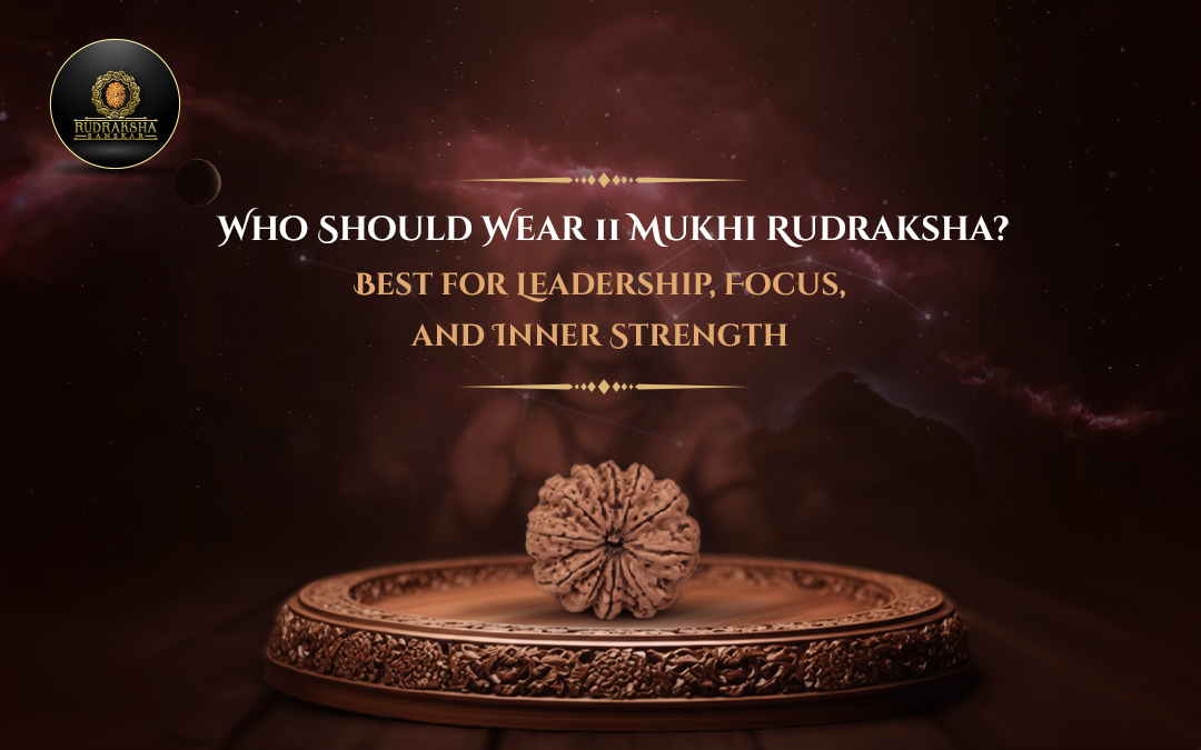 Who Should Wear 11 Mukhi Rudraksha Best for Leadership, Focus, and Inner Strength - Rudraksha Sanskar