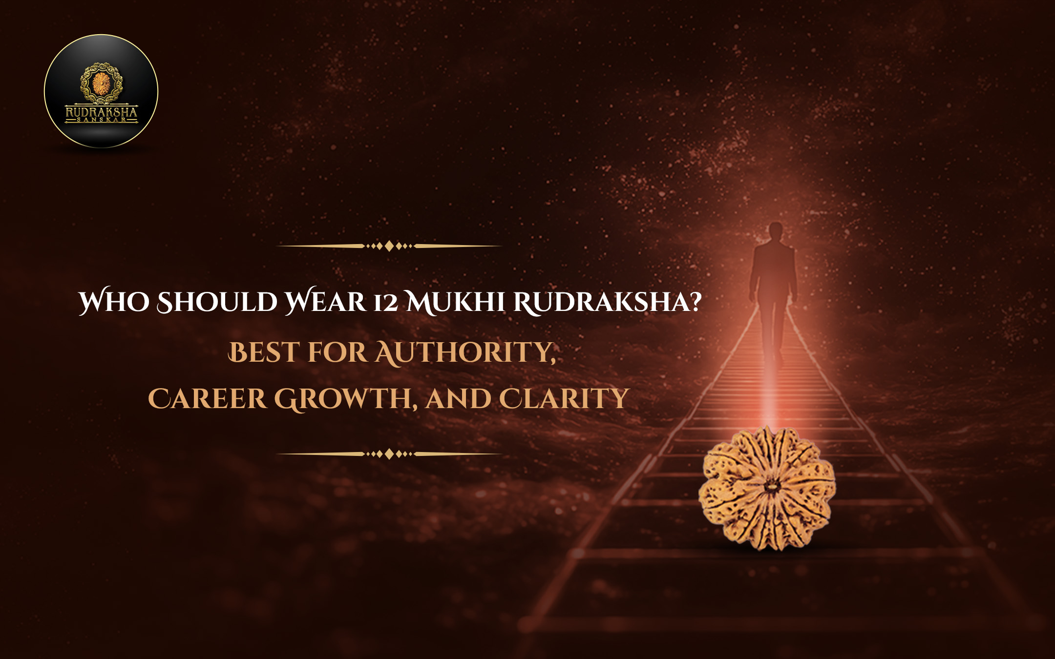 Who Should Wear 12 Mukhi Rudraksha Best for Authority, Career Growth, and Clarity - Rudraksha Sanskar