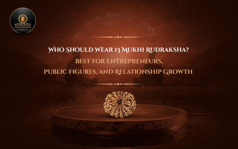 Who Should Wear 13 Mukhi Rudraksha? Best for Entrepreneurs, Public Figures, and Relationship Growth 
