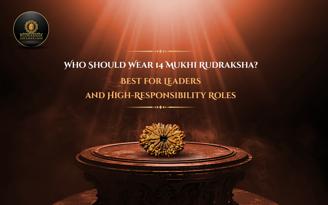 Who Should Wear 14 Mukhi Rudraksha Best for Entrepreneurs, Leaders, and High-Responsibility Roles - Rudraksha Sanskar