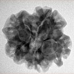 1MK(Underdeveloped) 24.3mm 4.36gm - Inverse xray