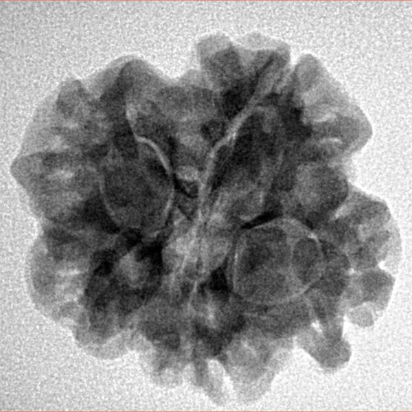 1MK(Underdeveloped) 24.3mm 4.36gm - Inverse xray