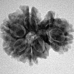 Sawar/Ganesh (6+1) 22.8mm 3gm - Inverse xray