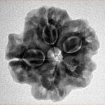 1MK(Underdeveloped) 23mm 4.15gm - Inverse xray