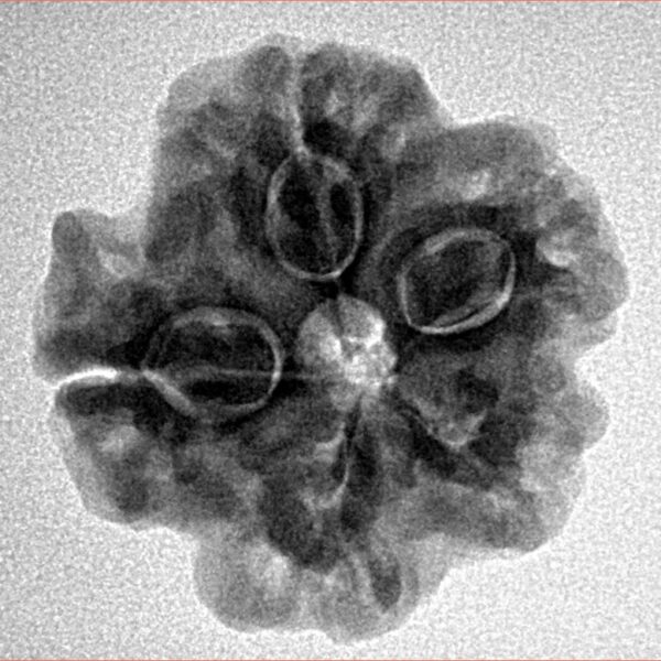 1MK(Underdeveloped) 23mm 4.15gm - Inverse xray