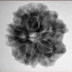 1MK(Underdeveloped) 23.3mm 4.3gm - Inverse xray