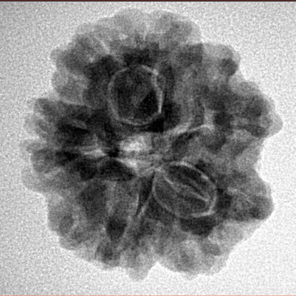 1MK(Underdeveloped) 23.3mm 4.3gm - Inverse xray