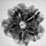 1MK(Underdeveloped) 23mm 4.07gm - Inverse xray