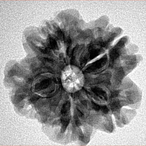 1MK(Underdeveloped) 23mm 4.07gm - Inverse xray