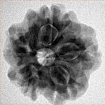 1MK(Underdeveloped) 22.3mm 3.68gm - Inverse xray