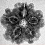 1MK(Underdeveloped) 22.8mm 3.82gm - Inverse xray