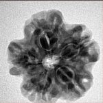 1MK(Underdeveloped) 23.3mm 3.94gm - Inverse xray