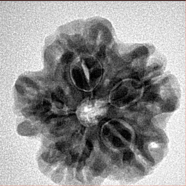 1MK(Underdeveloped) 23.3mm 3.94gm - Inverse xray