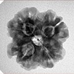 1MK(Underdeveloped) 22.5mm 3.85gm - Inverse xray