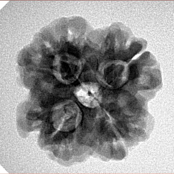 1MK(Underdeveloped) 22.5mm 3.85gm - Inverse xray