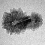 Sawar/Ganesh (8+1) 21.6mm 1.66gm - Inverse xray