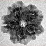 1MK(Underdeveloped) 24.1mm 4.55gm - Inverse xray