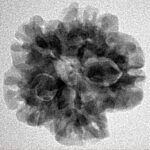 1MK(Underdeveloped) 22.1mm 3.44gm - Origin: Nepal - Inverse xray