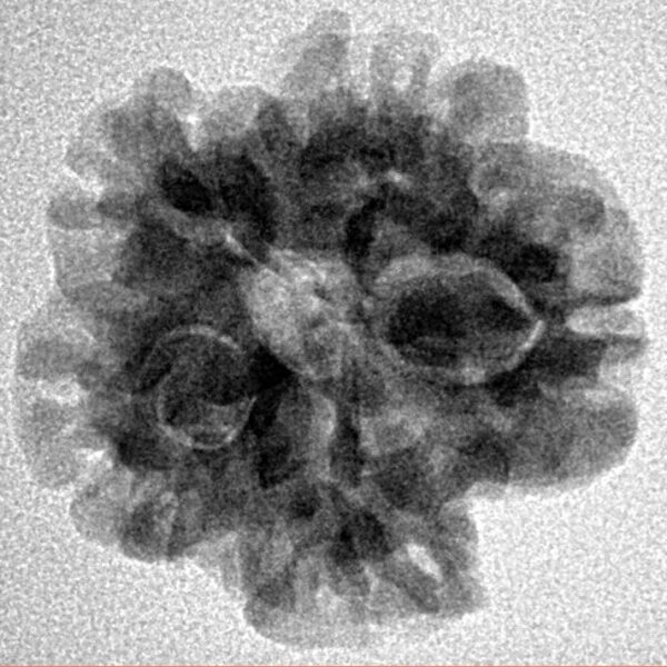 1MK(Underdeveloped) 22.1mm 3.44gm - Origin: Nepal - Inverse xray
