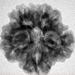 1MK(Underdeveloped) 22.3mm 3.89gm - Inverse xray