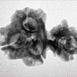 Sawar/Ganesh (3+1) 25.8mm 2.8gm - Inverse xray