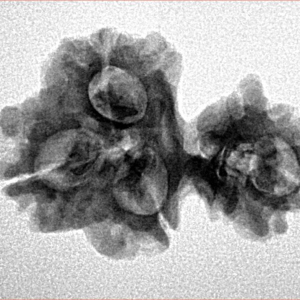 Sawar/Ganesh (3+1) 25.8mm 2.8gm - Inverse xray