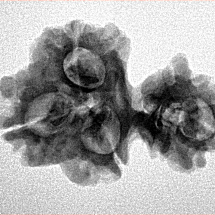 Sawar/Ganesh (3+1) 25.8mm 2.8gm - Inverse xray