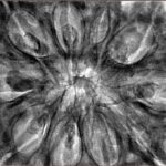 10 Mukhi Ganesh 38.2mm 10.99gm - Inverse xray