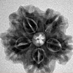 1MK(Underdeveloped) 22.8mm 4gm - Origin: Nepal - Inverse xray