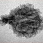 Sawar/Ganesh (6+1) 24.1mm 2.63gm - Inverse xray