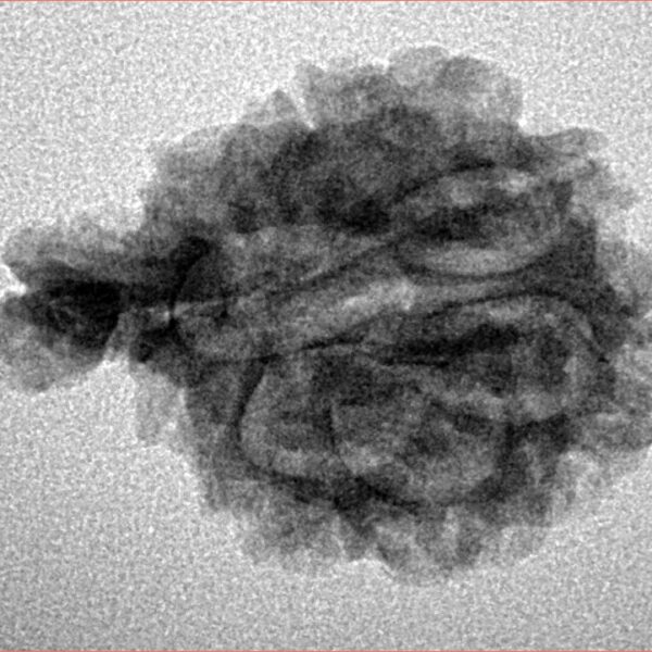 Sawar/Ganesh (6+1) 24.1mm 2.63gm - Inverse xray